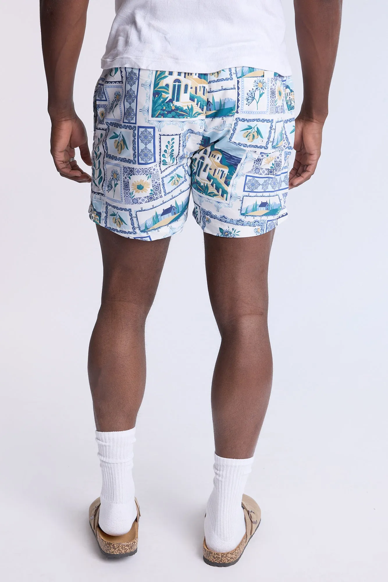 Scenic Printed 5.5" Swim Shorts